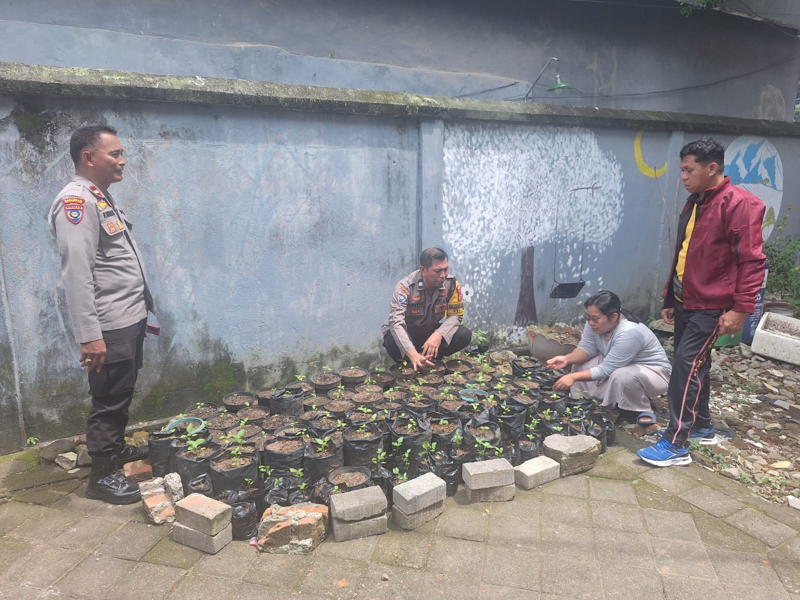 Satbinmas Polres Pelabuhan Makassar Monitoring Pembibitan Cabai