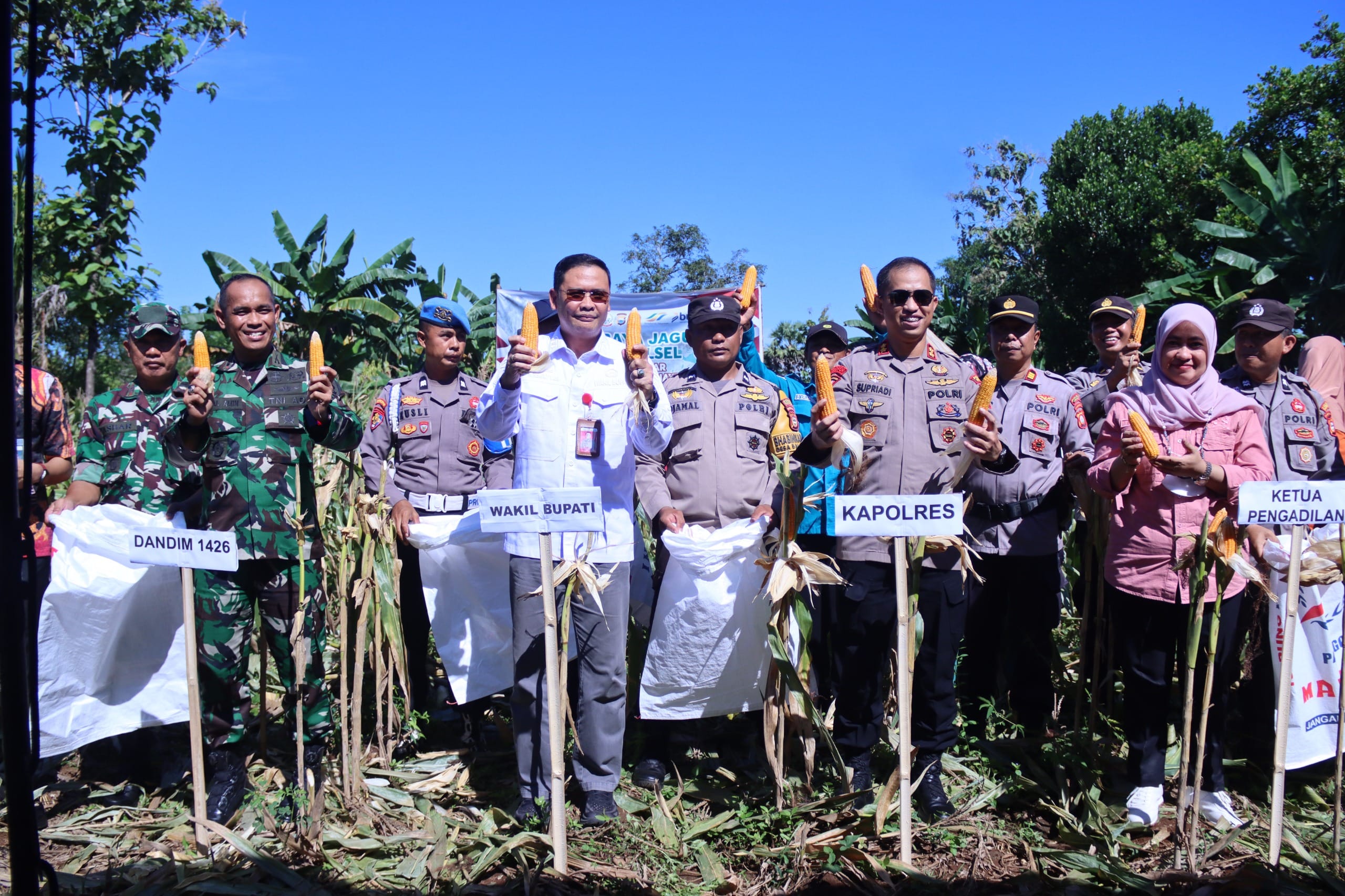 Wabup Takalar Bersama Forkopimda Takalar Gelar Panen Raya Jagung