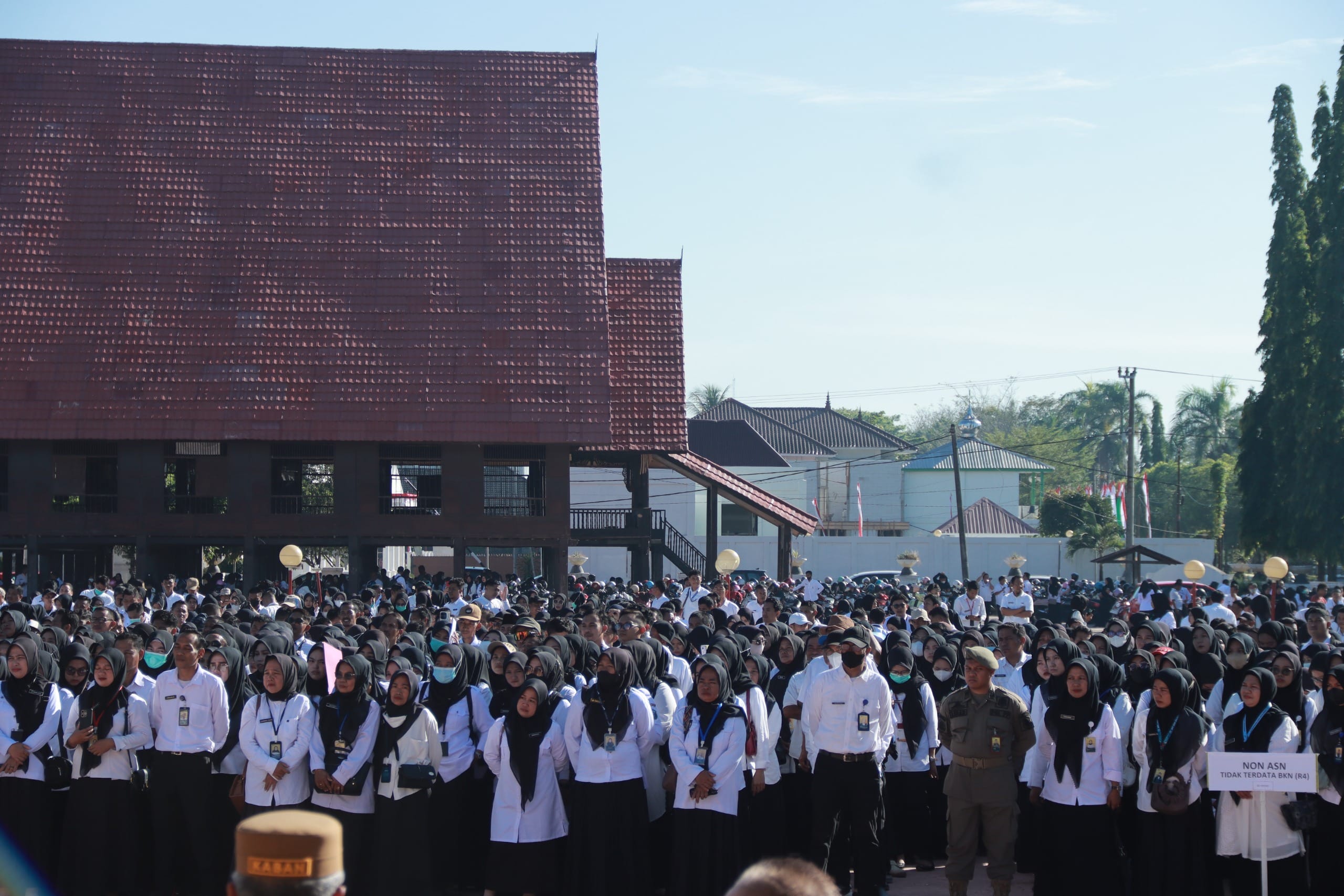 Potret Tenaga Non ASN Takalar