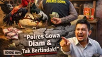 Gawat! Judi Sabung Ayam di Gowa Kian Marak, Aparat Dipertanyakan