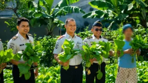 Panen 14 Kilogram Sawi, Lapas Takalar Tunjukkan Hasil Program Pembinaan Panen 14 Kilogram Sawi, Lapas Takalar Tunjukkan Hasil Program Pembinaan