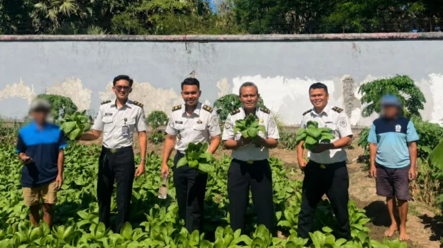 Dukung Ketahanan Pangan, Lapas Takalar Sukses Panen 50 Kg Pakcoy