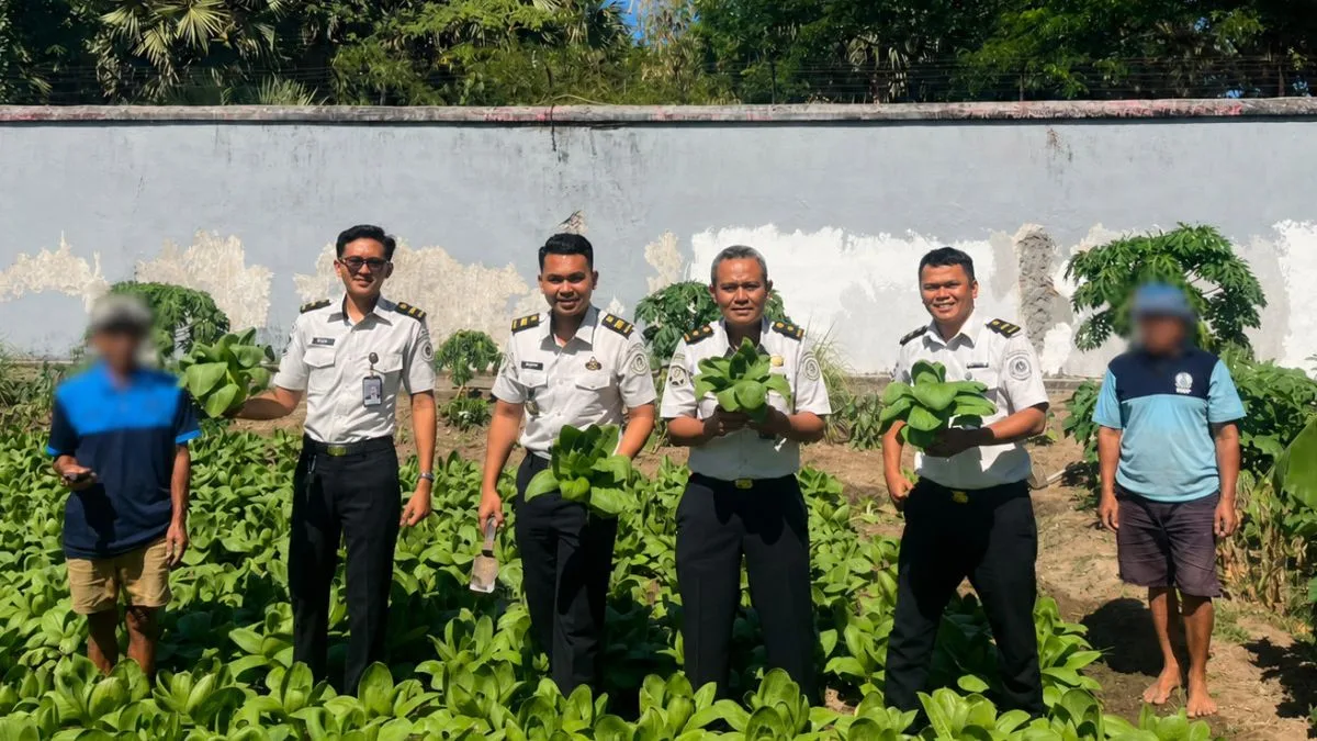 Dukung Ketahanan Pangan, Lapas Takalar Sukses Panen 50 Kg Pakcoy