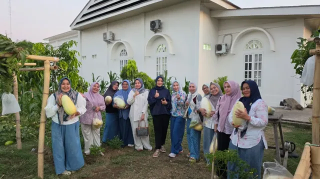 Disulap Jadi Kebun Pangan Produktif, Ketua TP-PKK Takalar Panen Timun Suri di Lahan Rujab Bupati