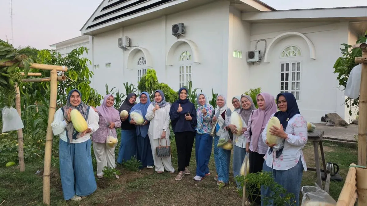 Disulap Jadi Kebun Pangan Produktif, Ketua TP-PKK Takalar Panen Timun Suri di Lahan Rujab Bupati