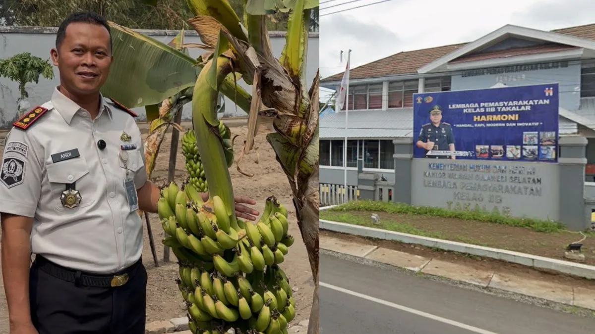 Manfaatkan Lahan Produktif, Lapas Takalar Sukses Panen Pisang dan 30 Kg Singkong